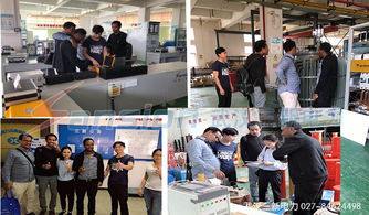 海外客商青睞武漢三新電力，高端產品斬獲國際訂單