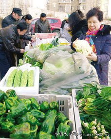 新鮮蔬菜進社區(qū)，惠民平價暖人心——天津市精品蔬菜平價直供社區(qū)紀實