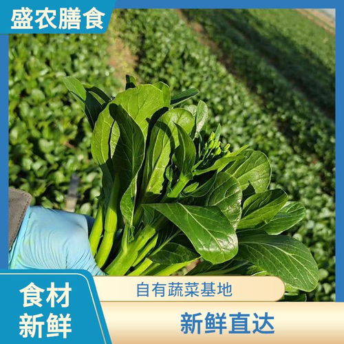 東莞虎門鎮(zhèn)單位學校食堂生鮮食材供應(yīng)新典范 專業(yè)承包與新鮮蔬菜配送服務(wù)